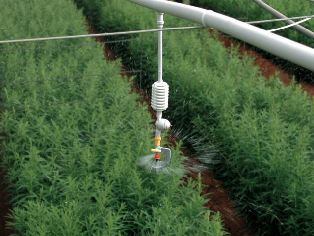 Aspersion et micro-aspersion